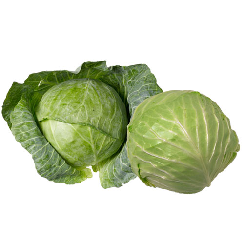 Iceberg Lettuce Health Benefits And Nutrition Facts