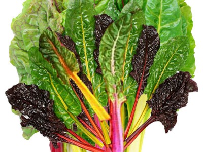 Nutrition Guide & Health Properties | Chard