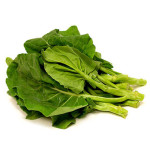 Chinese Broccoli Leafy Vegetable