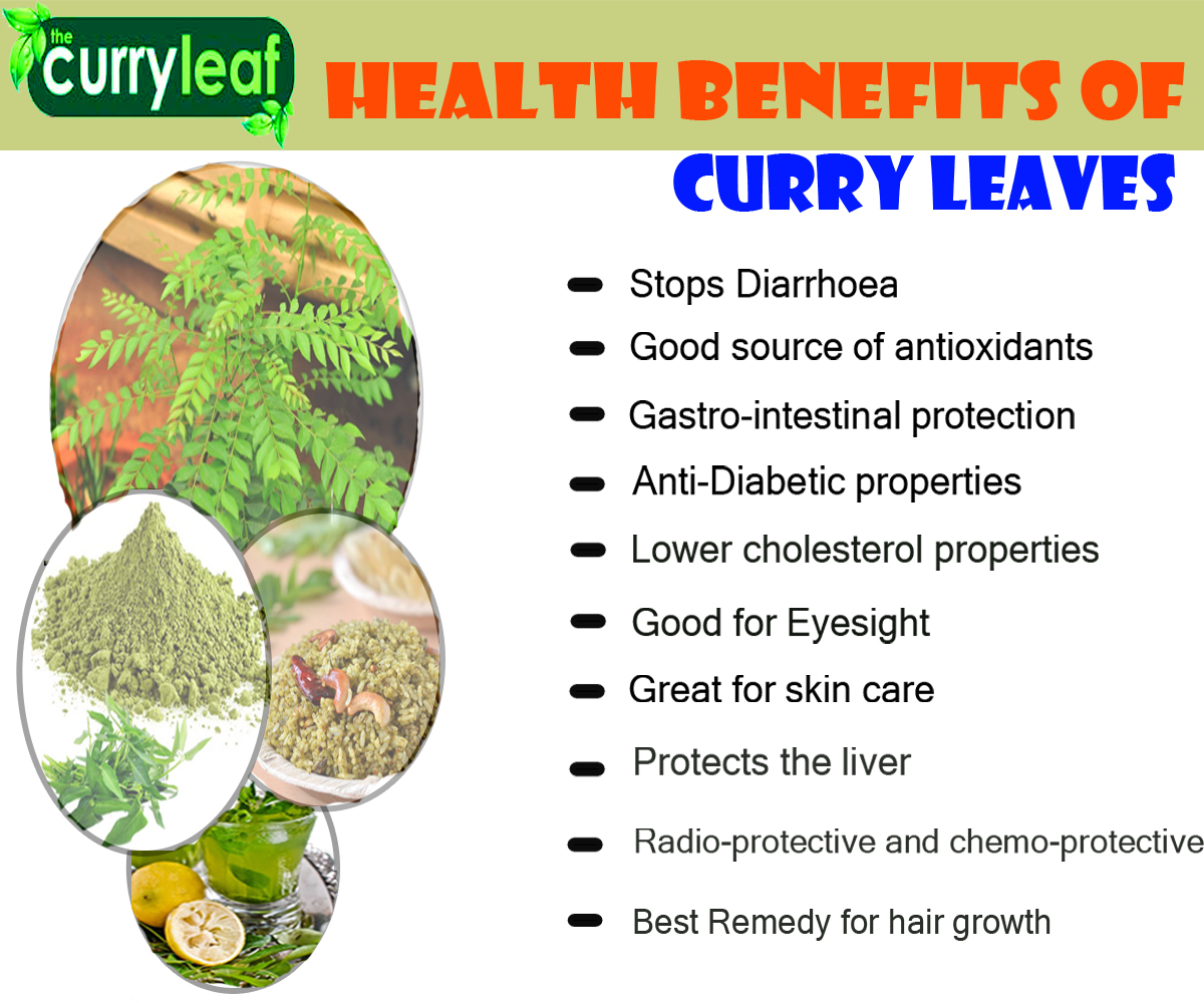 curry-leaf-tree-origin-and-its-nutritional-value-veggies-info