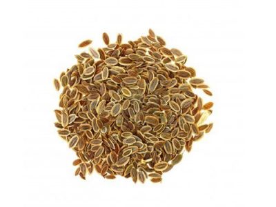 Dill Seed Unknown Medicinal Values