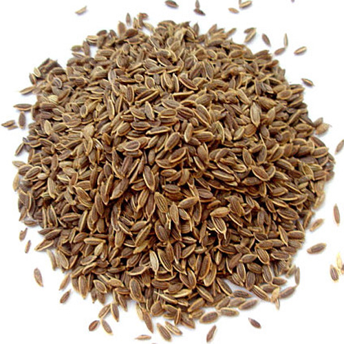 Dill Seed Unknown Medicinal Values - Veggies Info | Veggies Info