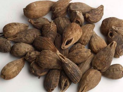 Ethiopian Cardamom Properties,Cultivation And  Uses