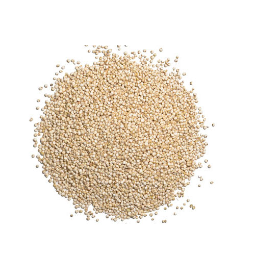 Quinoa Seeds And Its Cultivational Uses