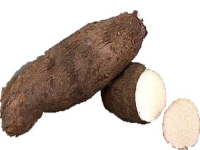 Yam Dioscorea AKA Sweet potato