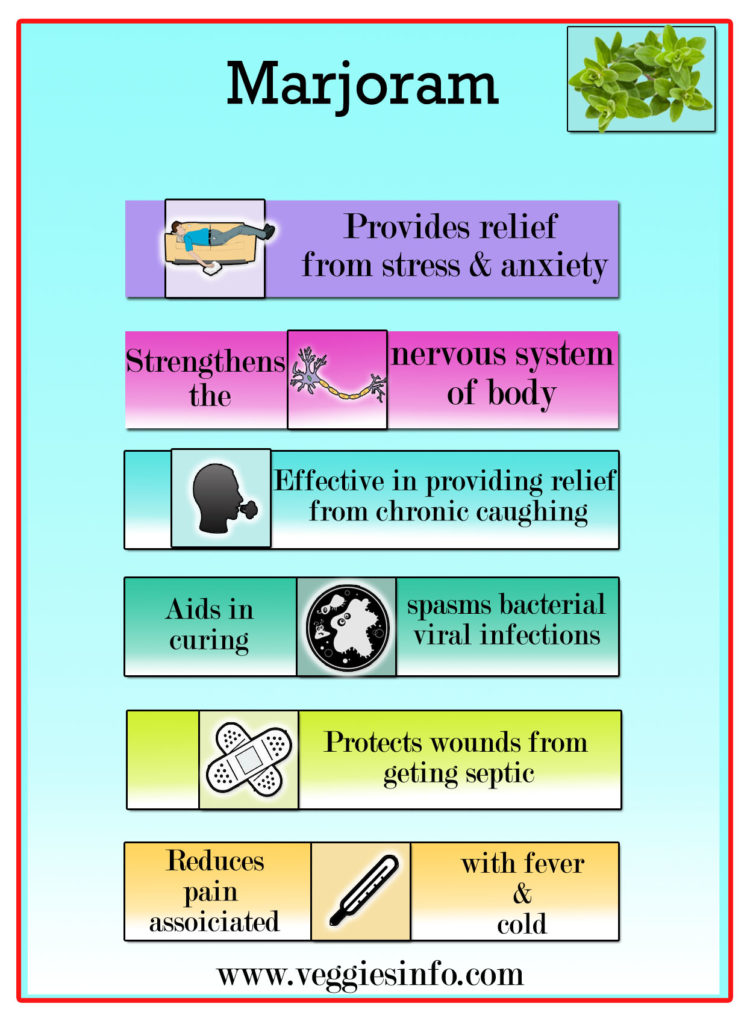 Marjoram Unbeatable Health Benefits Veggies Info