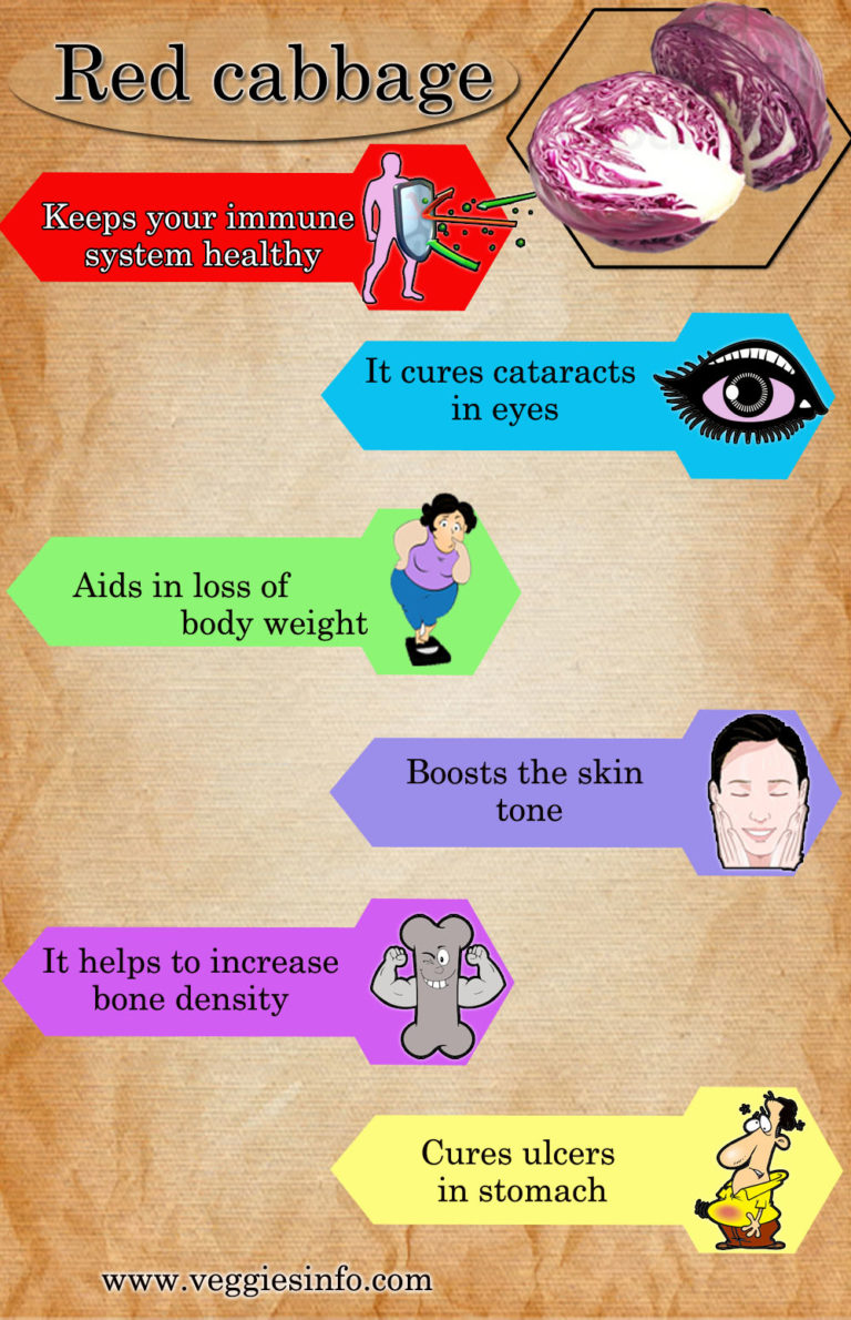Red Cabbage Growth Cultivation And Its Health Benefits Veggies Info