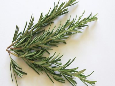 Rosemary Interesting Benefits And Uses