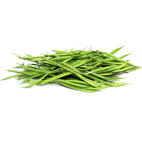 Cluster Beans| Guar- Growth Cultivation And Its Uses