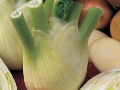 Florence Fennel Health Benefits And Uses