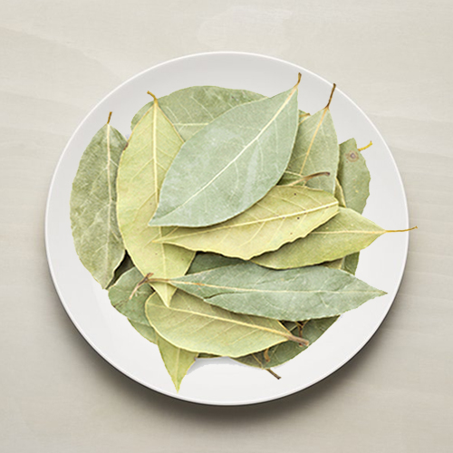 Indonesian Bay Leaf Health Benefits And Facts