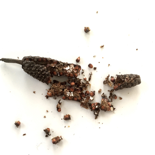 Long Pepper Medicinal And Dietary Uses