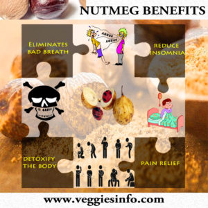 exporter of nutmeg