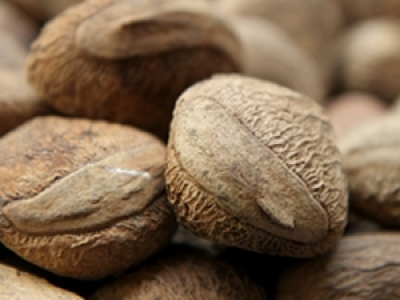 Keluak Drawbacks Properties And Its Health Benefits