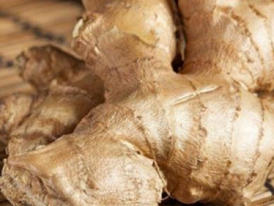 Kencur aka  aromatic ginger-Properties And Uses