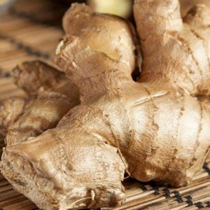 Kencur aka  aromatic ginger-Properties And Uses