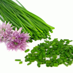 chives Plant