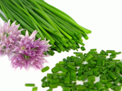 Chives Long-Awaited Health Benefits And Medicinal Uses Exposed Here!