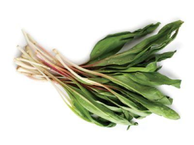 Ramp – Adds variety to your dish