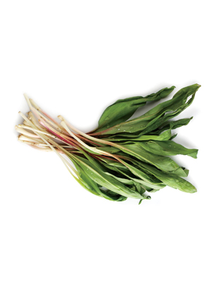 Ramp – Adds variety to your dish
