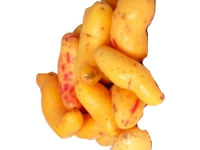 Ulluco – Nutritional Facts
