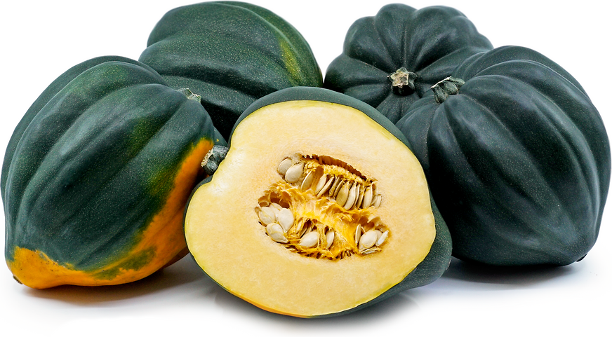 Acorn Squash Health Benefits And Nutrition Facts - Veggies Info