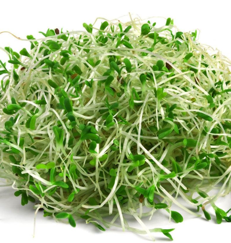 Alfalfa Sprouts Health Benefits And Nutrition Facts