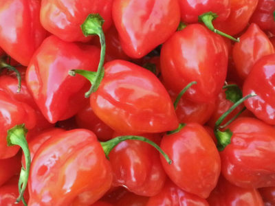 Habanero Pepper Health Benefits And Nutrition Facts