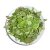 amaranth-destem-leaves-