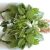 amaranth-destem-uses