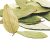 bay-leaves