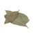 bay-leaves-health-benefits