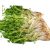 bean-sprouts