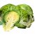 brussel-sprouts