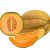 cantaloupe