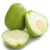 chayote-roots-leaves