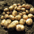 chinese-potato-plant