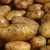 chinese-potato-medicinal