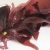 dulse