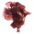 dulse