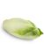 endive1
