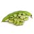 fava-bean-uses