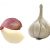 hard-neck-garlic