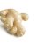 ginger