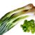 spring-onions