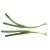thin-green-onions