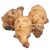 jerusalem-artichoke-interesting-facts