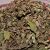 koseret-leaves-oil