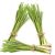 lemon-grass-