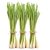 lemon-grass-bottle